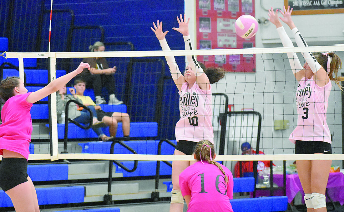 Wheeling Park Wins, Awaits OVAC Volleyball Berth News, Sports, Jobs